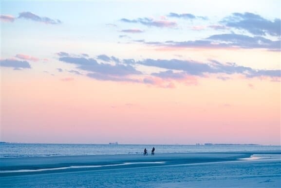 Hidden Gems: 10 Hilton Head Businesses Worth Knowing